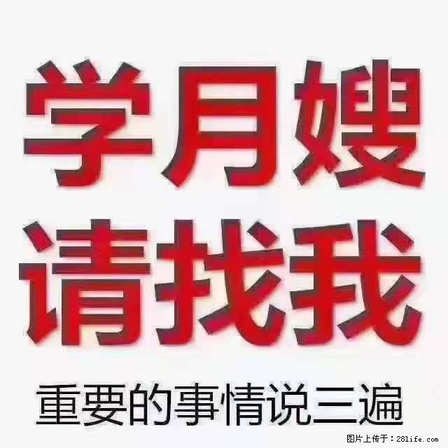 为什么要学习月嫂，育婴师？ - 其他广告 - 广告专区 - 四平分类信息 - 四平28生活网 sp.28life.net