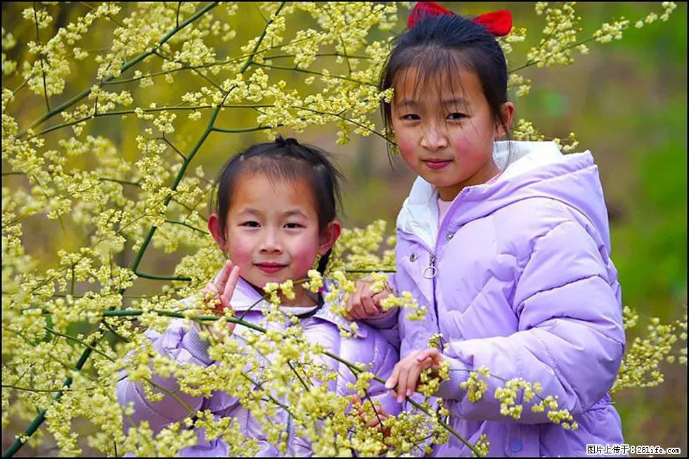 【春天，广西桂林灌阳县向您发出邀请！】米珠山前有片山苍子花在飘香 - 游山玩水 - 四平生活社区 - 四平28生活网 sp.28life.net