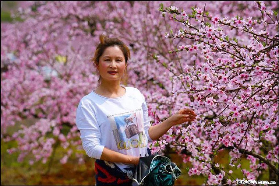 【春天，广西桂林灌阳县向您发出邀请！】官庄村有个醉美的桃花园 - 游山玩水 - 四平生活社区 - 四平28生活网 sp.28life.net