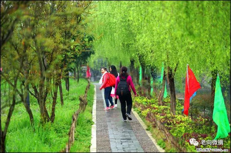 【春天，广西桂林灌阳县向您发出邀请！】江口老街又逢春 - 游山玩水 - 四平生活社区 - 四平28生活网 sp.28life.net