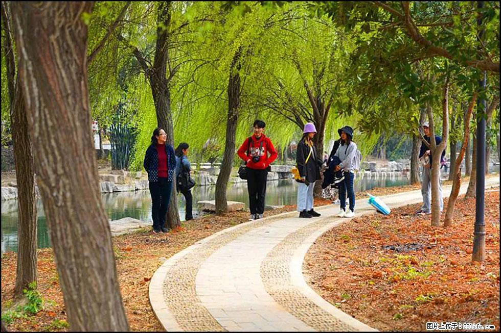【春天，广西桂林灌阳县向您发出邀请！】江口老街又逢春 - 游山玩水 - 四平生活社区 - 四平28生活网 sp.28life.net