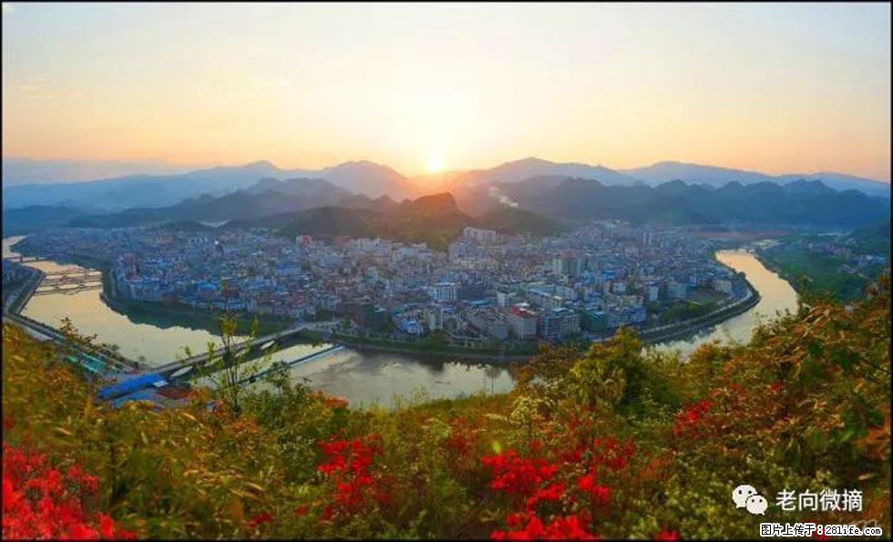 【春天，广西桂林灌阳县向您发出邀请！】登麒麟山，相约映山红 - 游山玩水 - 四平生活社区 - 四平28生活网 sp.28life.net