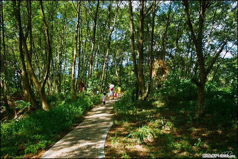 【春天，广西桂林灌阳县向您发出邀请！】熊家寨湿地公园 - 游山玩水 - 四平生活社区 - 四平28生活网 sp.28life.net
