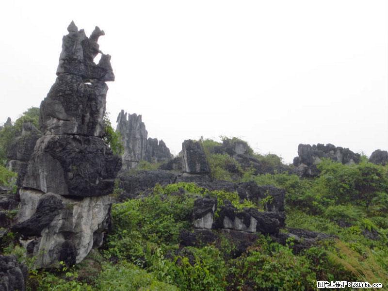 桂林旅游名城景点：灌阳文市石林 - 游山玩水 - 四平生活社区 - 四平28生活网 sp.28life.net