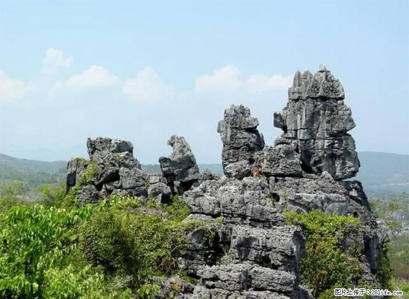 桂林旅游名城景点：灌阳文市石林 - 游山玩水 - 四平生活社区 - 四平28生活网 sp.28life.net