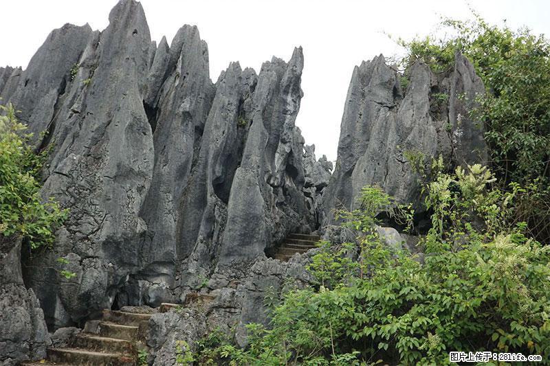 桂林旅游名城景点：灌阳文市石林 - 游山玩水 - 四平生活社区 - 四平28生活网 sp.28life.net