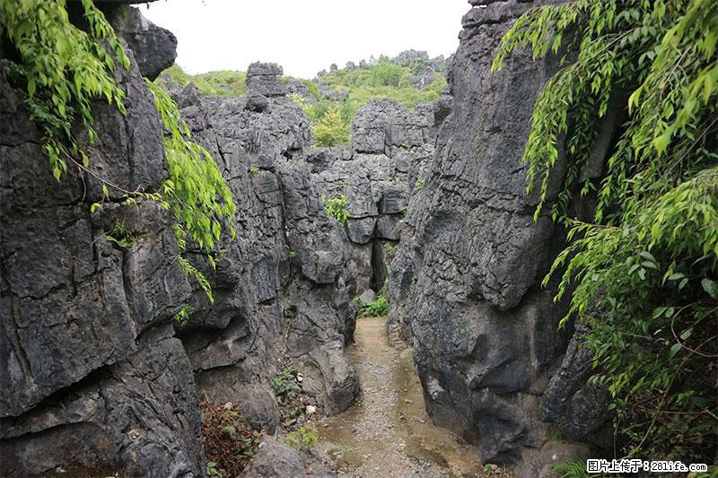 桂林旅游名城景点：灌阳文市石林 - 游山玩水 - 四平生活社区 - 四平28生活网 sp.28life.net