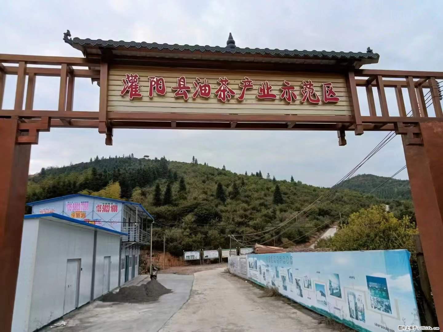 【灌阳县油茶产业示范区】一个有着充实的精神生活的人，对待身外之物自会有一种淡泊的态度 - 土特产 - 饮食特产 - 四平分类信息 - 四平28生活网 sp.28life.net