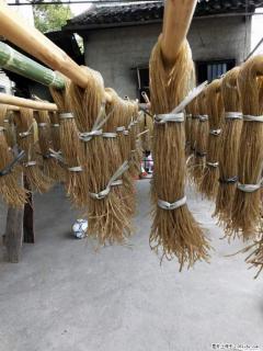 【灌阳正宗红薯粉】美女家里自己做的，干净卫生，假一赔十，价格合理，抢购电话：13737312895 - 四平28生活网 sp.28life.net
