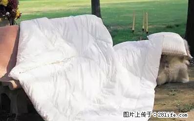 被子有异味？只要这样做，比晒太阳还强100倍！ - 家居生活 - 四平生活社区 - 四平28生活网 sp.28life.net