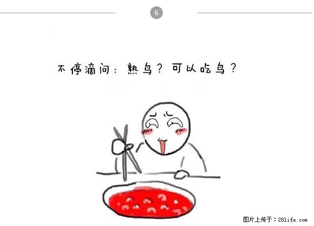 千万不要和这9种哈卵一起吃火锅！ - 美食天地 - 四平生活社区 - 四平28生活网 sp.28life.net