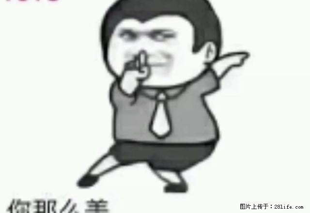 紧邻高铁火车站，万达商业中心，植物园，东方小区，好房招租了！ - 房屋出租 - 房屋租售 - 四平分类信息 - 四平28生活网 sp.28life.net