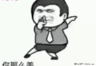 紧邻高铁火车站，万达商业中心，植物园，东方小区，好房招租了！ - 四平28生活网 sp.28life.net