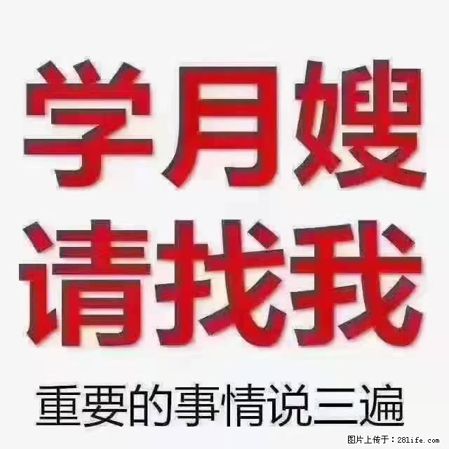 【招聘】月嫂，上海徐汇区 - 职场交流 - 四平生活社区 - 四平28生活网 sp.28life.net