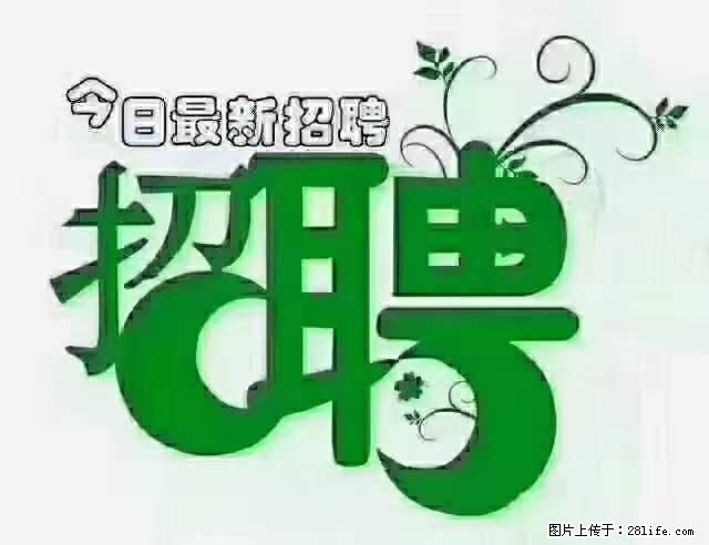 上海隔离酒店招人：55岁以下 男女不限 - 职场交流 - 四平生活社区 - 四平28生活网 sp.28life.net
