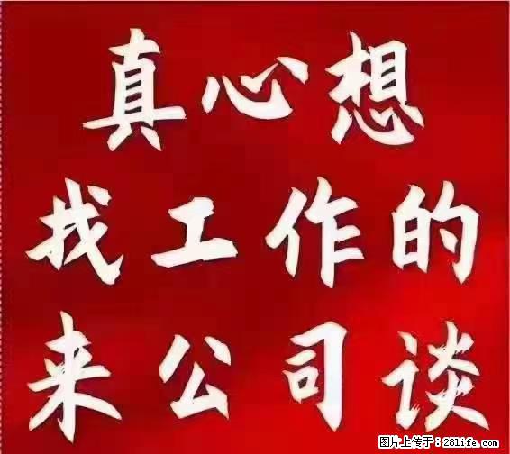 【上海】国企，医院招两名男保安，55岁以下，身高1.7米以上，无犯罪记录不良嗜好 - 职场交流 - 四平生活社区 - 四平28生活网 sp.28life.net