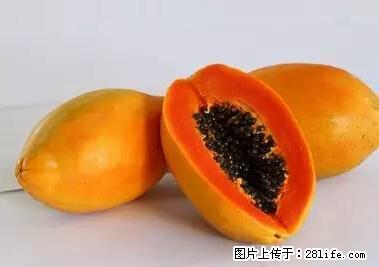 晕车、脚气、牙齿变黄、皮肤粗糙?学会这些三分钟搞定! - 四平生活资讯 - 四平28生活网 sp.28life.net