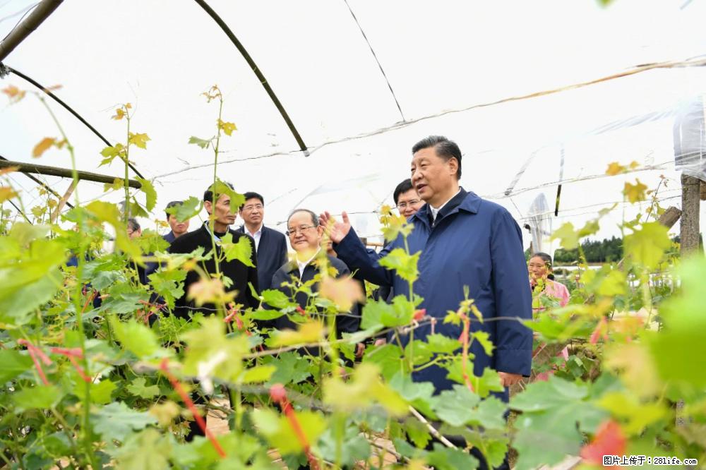 习近平赴广西考察调研 - 四平生活资讯 - 四平28生活网 sp.28life.net