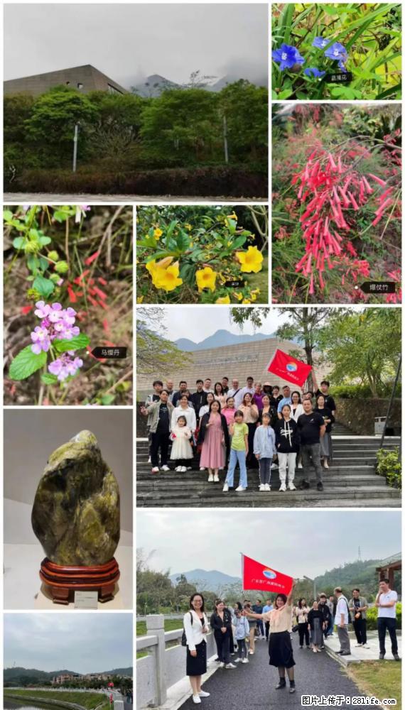“粤灌文化 美好生活”油茶文化主题活动在广东深圳成功举办 - 四平生活资讯 - 四平28生活网 sp.28life.net