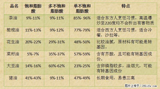揭秘茶油的5大核心营养成分！被称为人体健康的“守护盾”！ - 四平生活资讯 - 四平28生活网 sp.28life.net