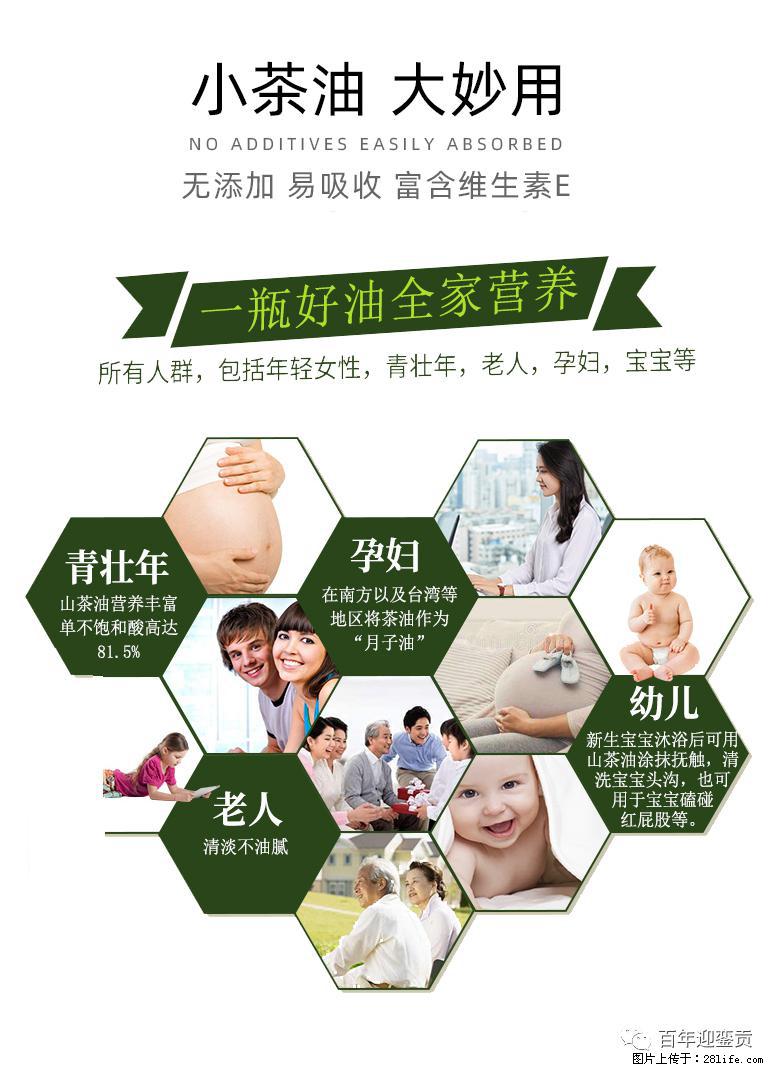 世界没有真相，只有认知，最好的食用油是中国的山茶油！ - 四平生活资讯 - 四平28生活网 sp.28life.net