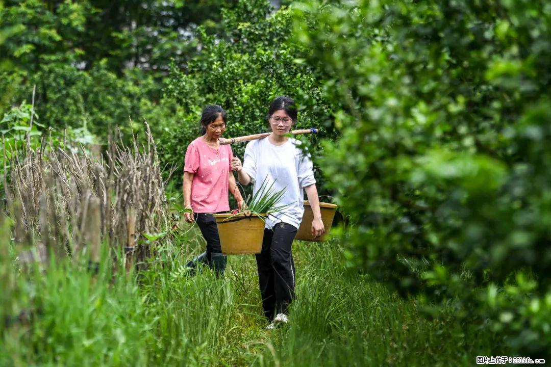全网追的“扁担女孩”，找了一份暑假工，时薪12元 - 四平生活资讯 - 四平28生活网 sp.28life.net