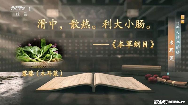 比牛奶补钙还厉害!凉血解毒、稳血糖...这菜冬天必吃,很多人却当草 - 四平生活资讯 - 四平28生活网 sp.28life.net