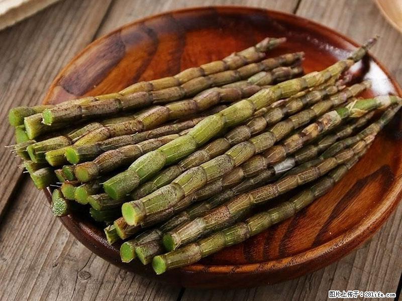 铁皮石斛的作用与功能主治 - 四平生活资讯 - 四平28生活网 sp.28life.net